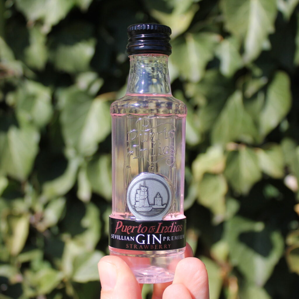 Puerto de Indias Strawberry gin 50 ml miniatura