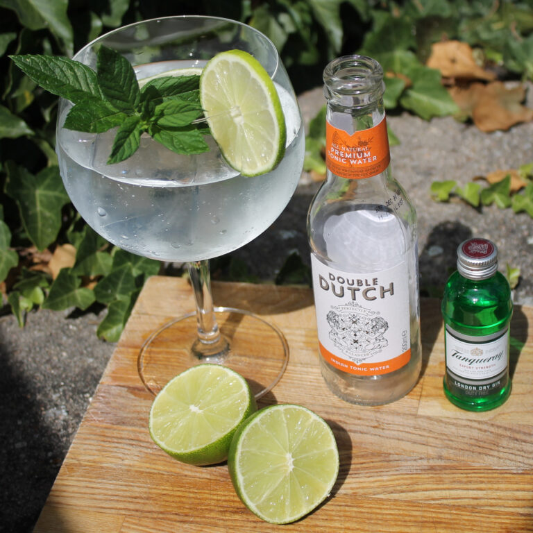 Tanqueray gin & Double Dutch Indian & limetka & máta