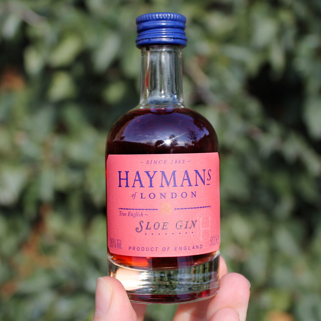 Hayman's Sloe gin 50 ml miniatura