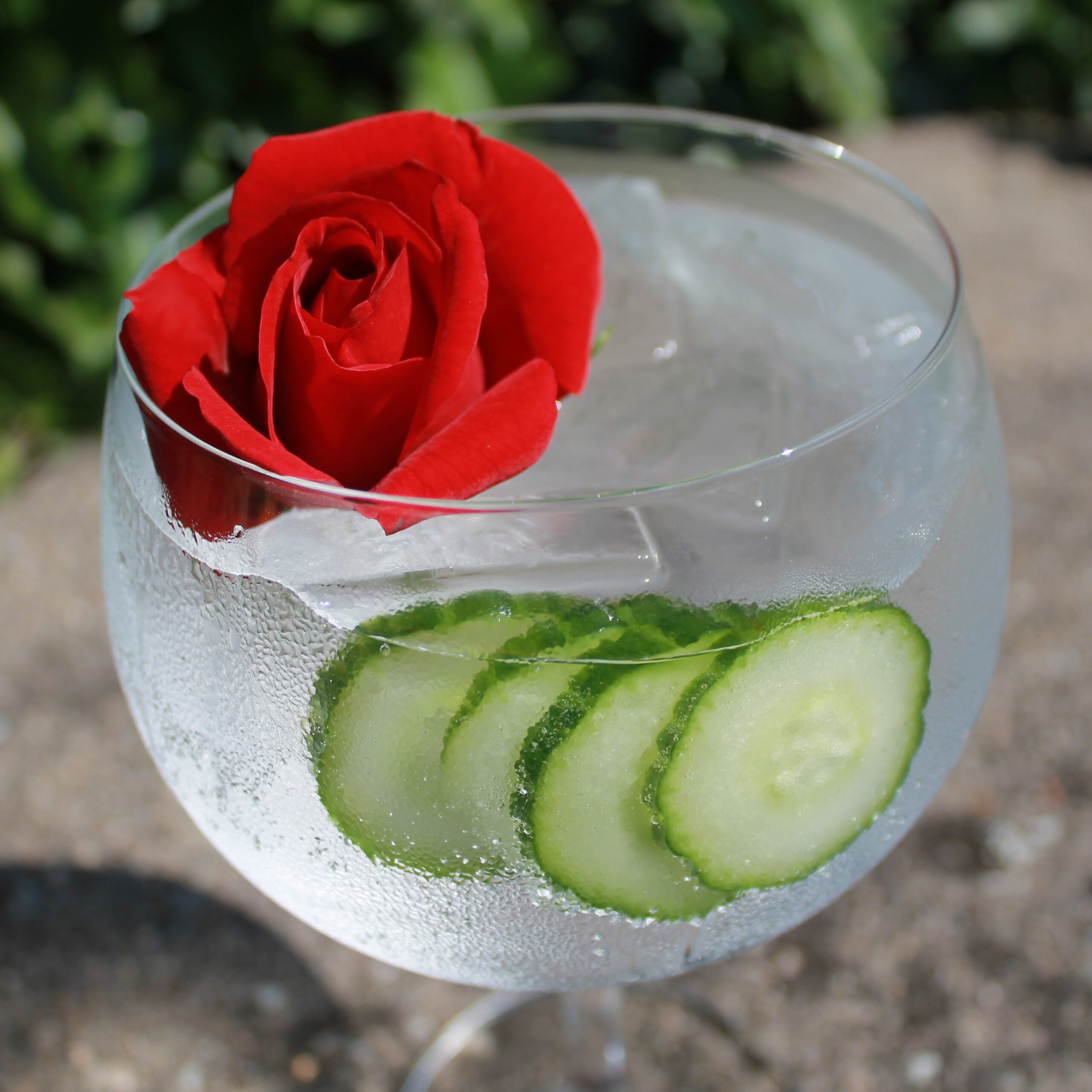 Hendrick's gin & 1724 tonic s okurkou a růží