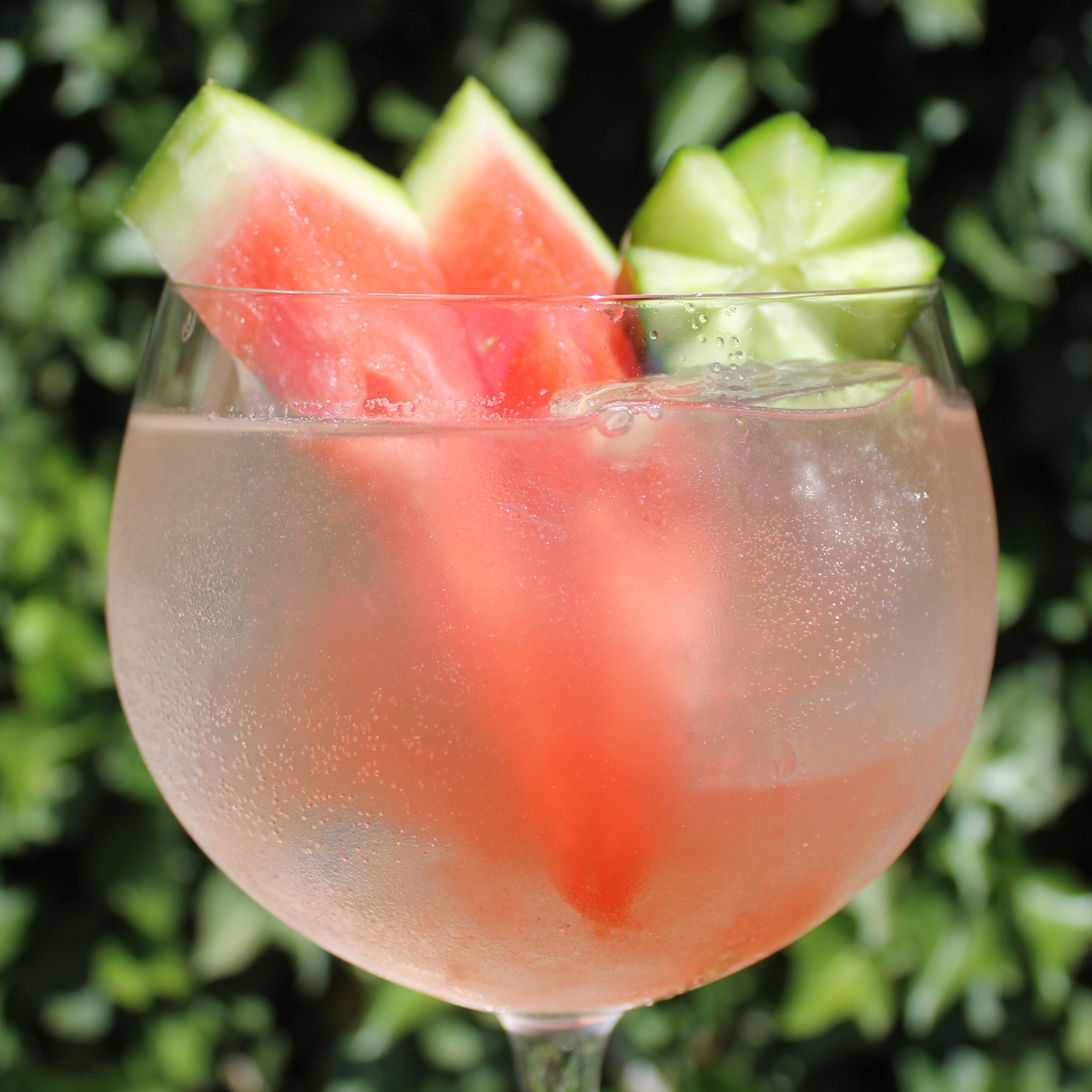 Akori gin & Double Dutch Cucumber & Watermelon tonic s melounem a okurkou